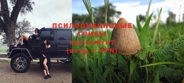 амф Горнозаводск