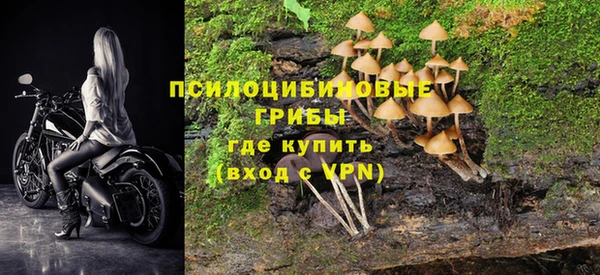 не бодяженный Вяземский