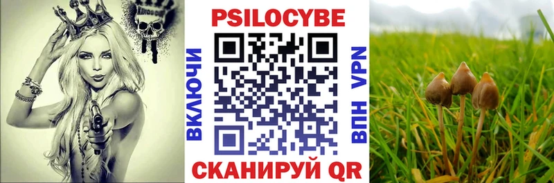 Купить закладки  Лодейное Поле  Псилоцибиновые грибы мицелий 